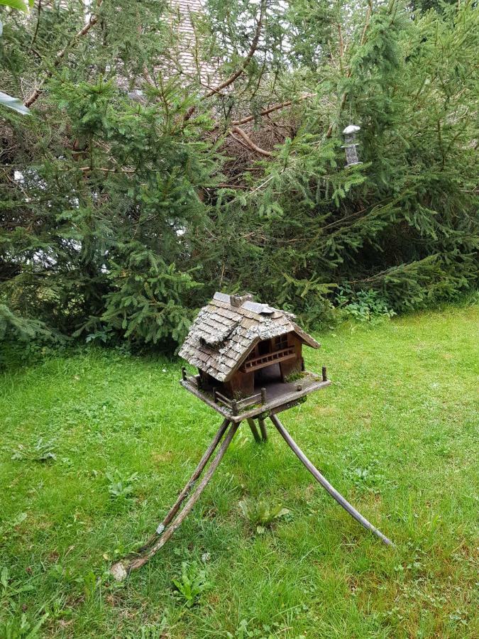 Pension Gebele Schluchsee Exterior foto
